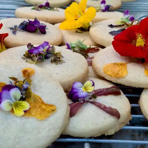 How To Make Edible Flower Shortbread Cookies (with video)