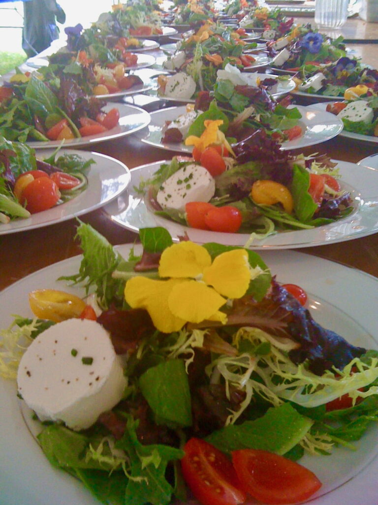 Edible flower topped salads