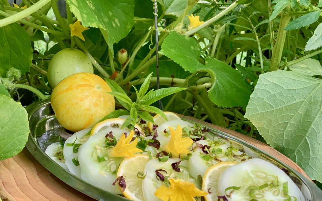 Heirloom Lemon Cucumber Salad