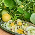 Heirloom Lemon Cucumber Salad