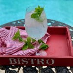 Sparkling Mint Water Recipe