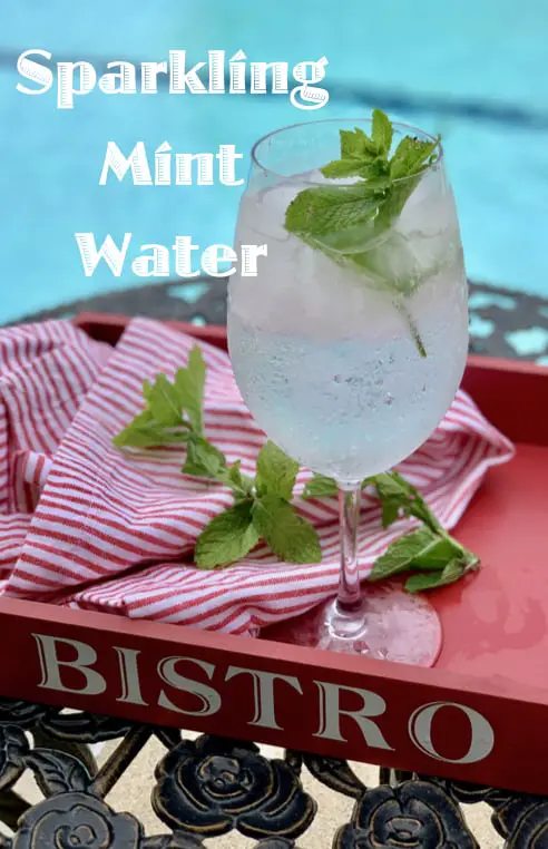 Sparkling Mint Water - For The Health Of It!