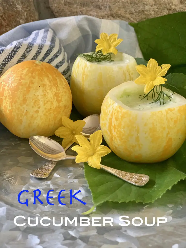 Refreshing chilled Lemon Cucumber Soup recipe is made the Mediterranean way, using heirloom lemon cucumbers, yogurt, lemon and fresh herbs! 