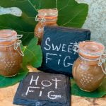 Fig Jam - Hot or Sweet