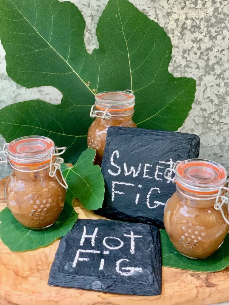 Homemade Fig Jam - Savory Hot or Sweet