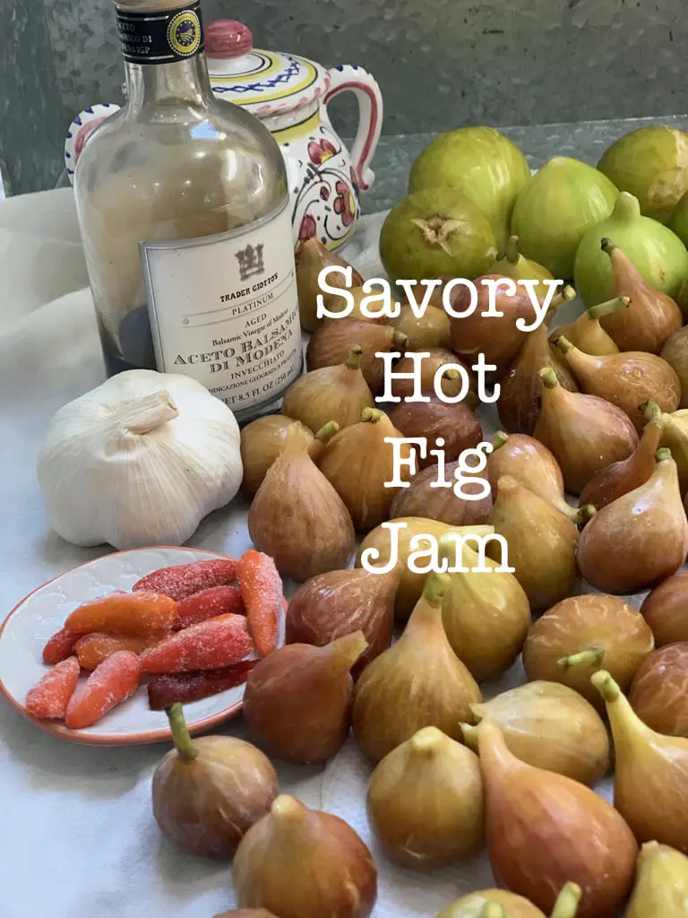 Savory fig jam