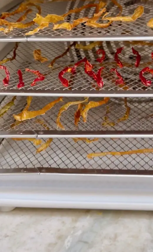 Dried Peppers In A Home Dehydrator 