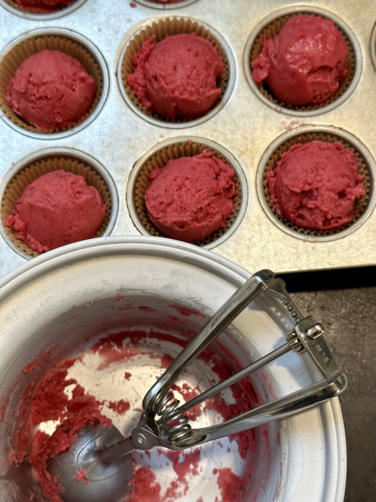 portioned sorbet for individual servings