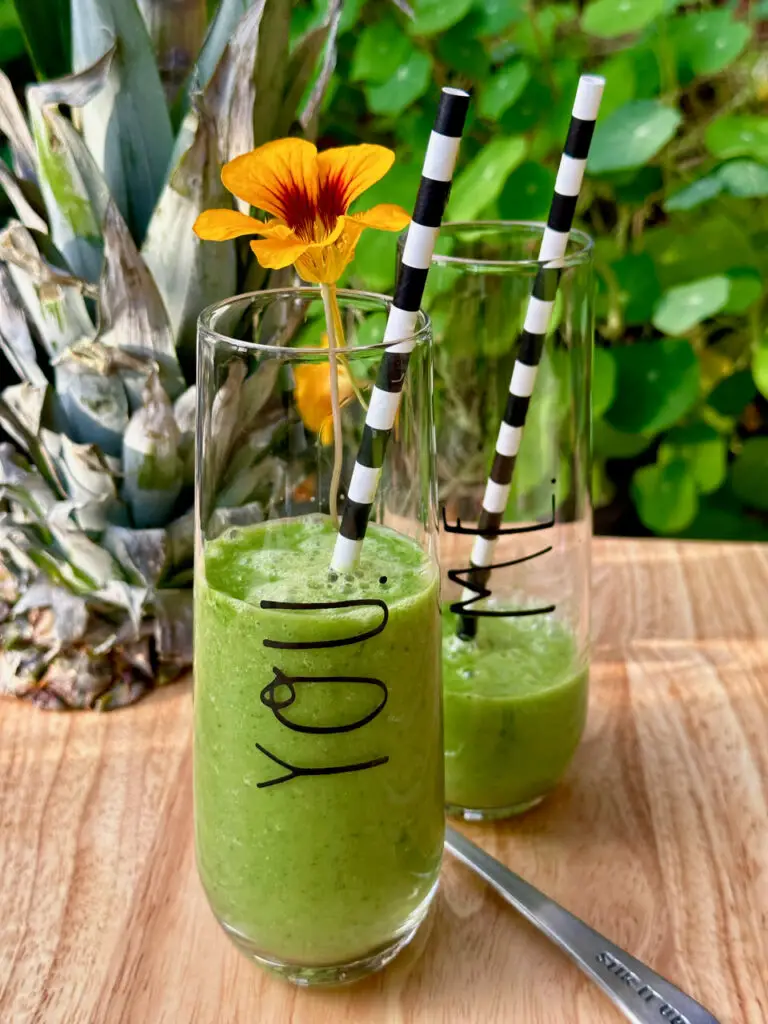 A Happy New Year To A Welcome Springtime Detox Smoothie