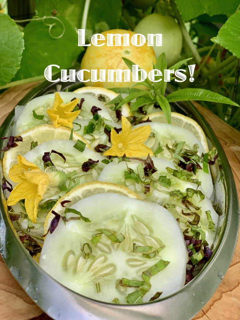 Lemon Cucumber Salad