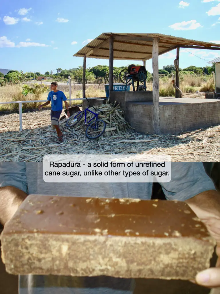 Sugarcane and Real Sugar