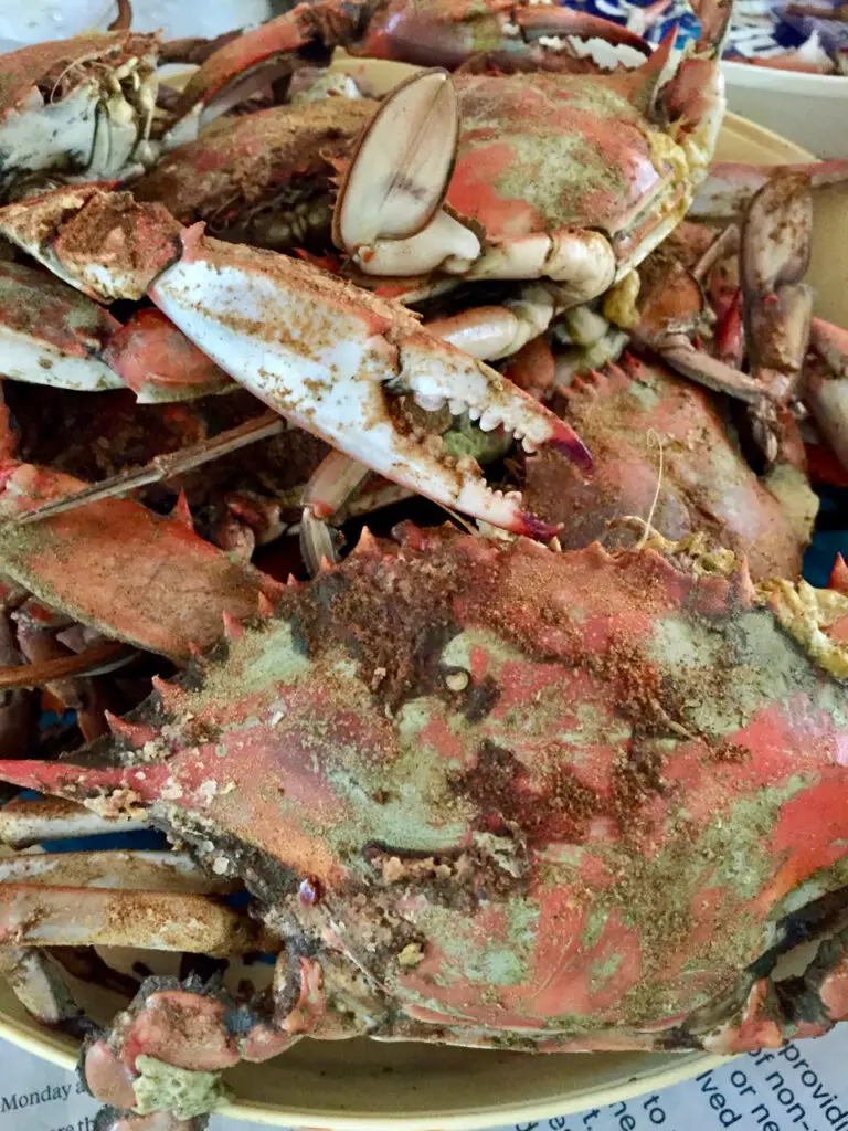 Fresh Maryland Steamed Crabs