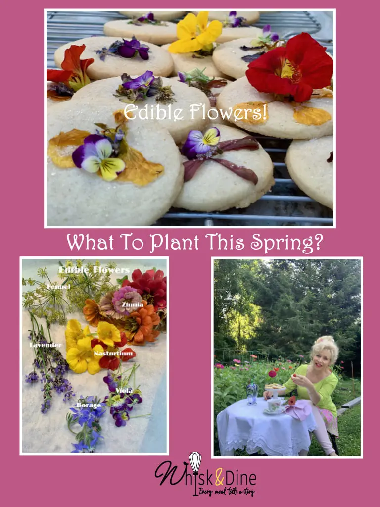 Edible Flowers - My Garden To My Table