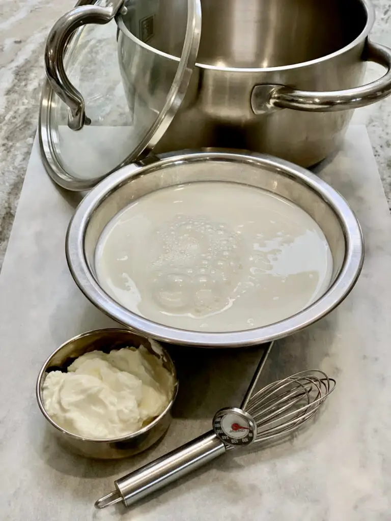 Homemade Yogurt Is Easy To Make With Just A Few Tips