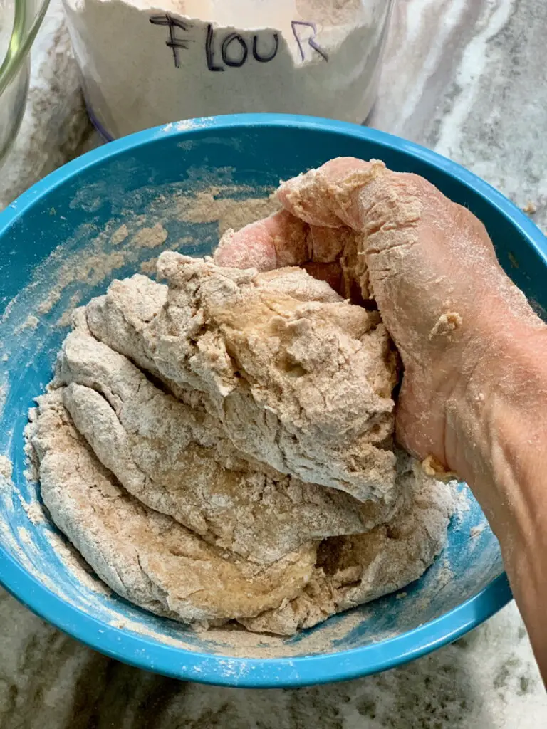 Spelt Flour Dough