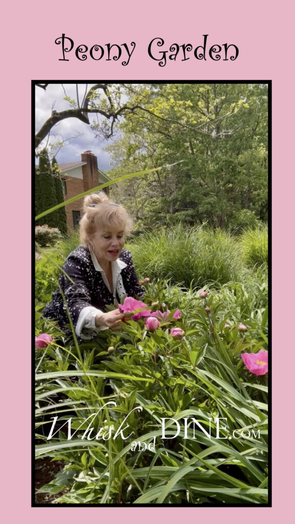 A Peony Garden In May