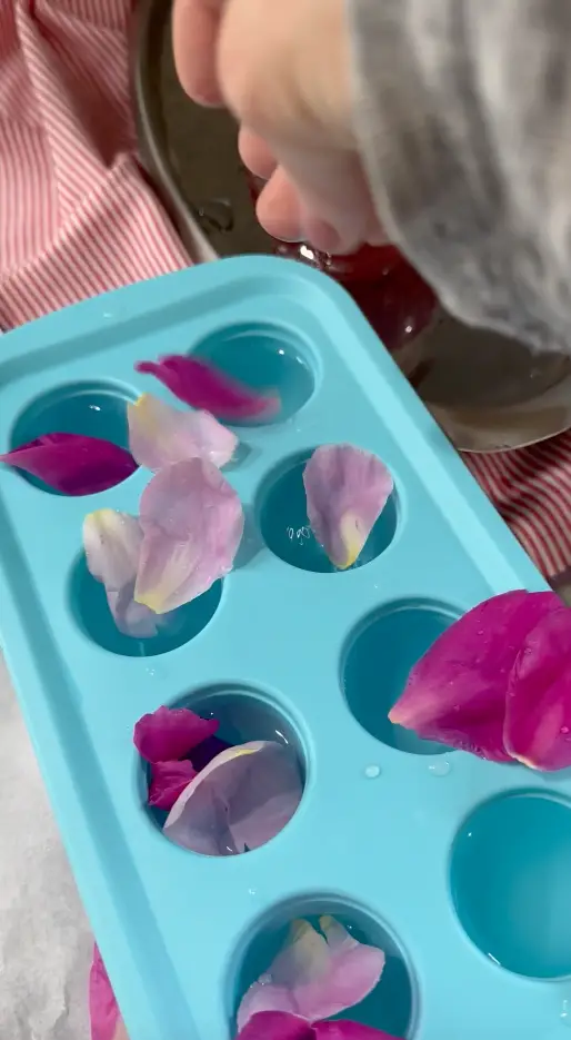 Freezing Petals In Ice Trays