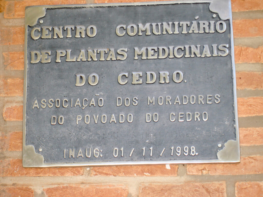 Central Community Of Plant Medicine In Cedro Brazil