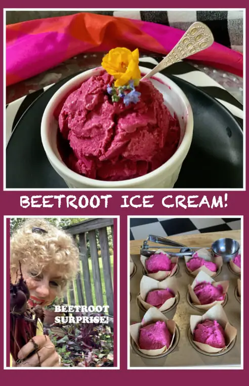 Beetroot Ice Cream Fresh From My Garden