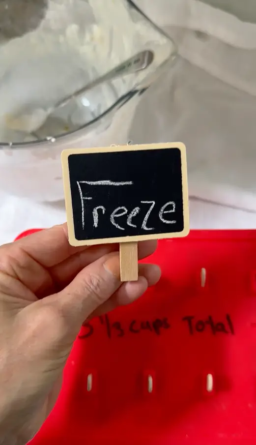 Freeze Popsicles 4-Hours Or Overnight