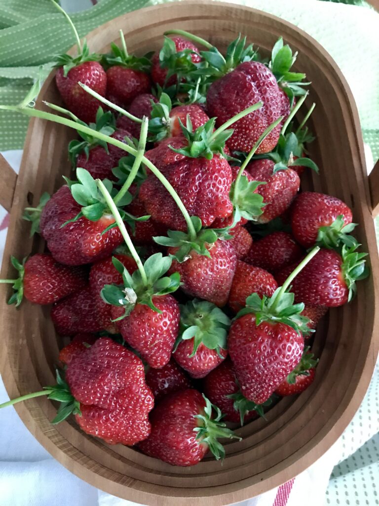 The Abundance Of Strawberry Season