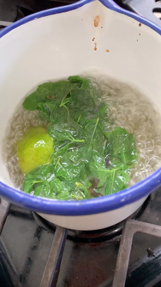 Easy Mint Simple Syrup