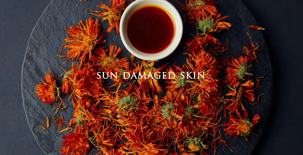 Laurel Sun/Damaged Skin