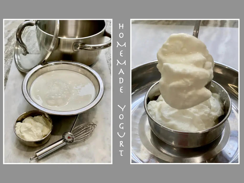 Mediterranean Homemade Yogurt
