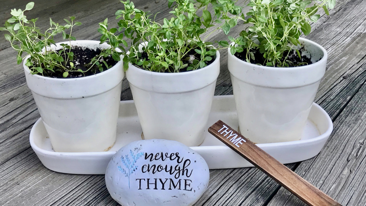 THYME - Recipes From My Thyme Garden