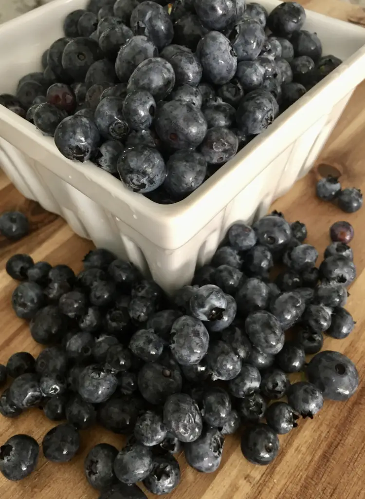 Sun Ripened Sweet Blueberries