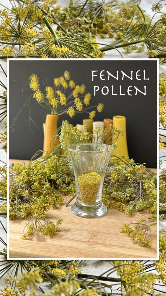Freshly Extracted Fennel Pollen