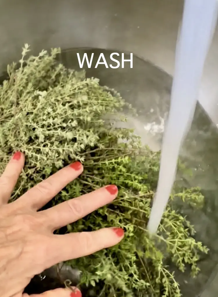 Wash Freshly Picked Thyme
