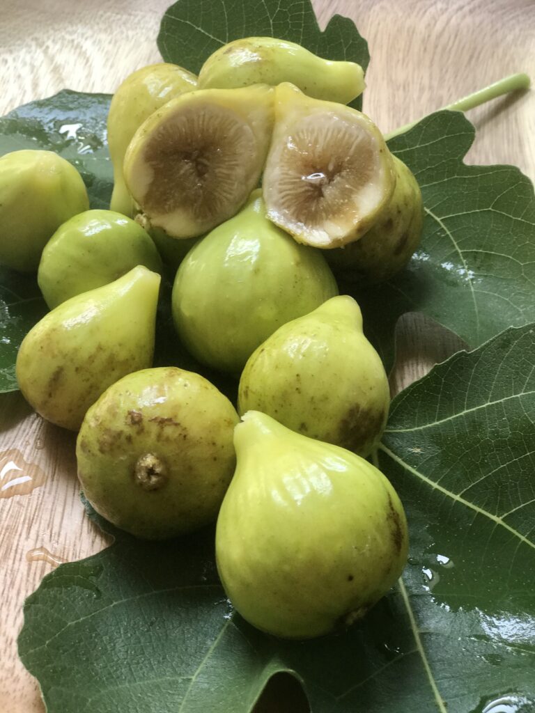 Freshly Picked Figs