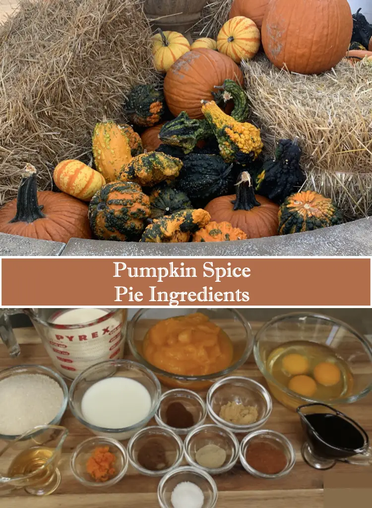 Pumpkin Spice Pie Ingredients