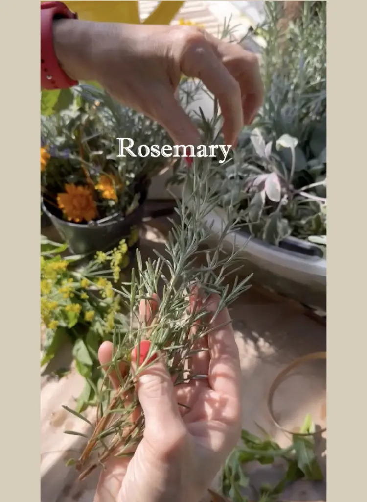 Rosemary Helps To Form A Sturdy Herb Base