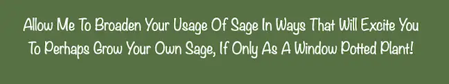 Let's Broaden Our Usage Of Sage