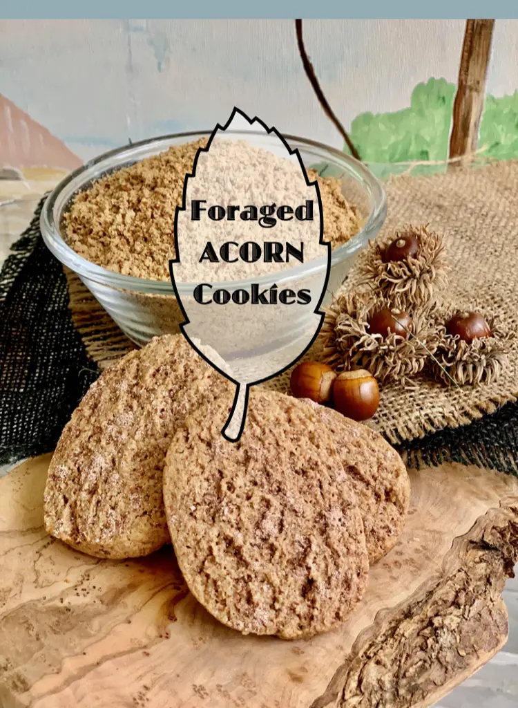 Homemade Acorn Flour Cookies From Foraged Acorns