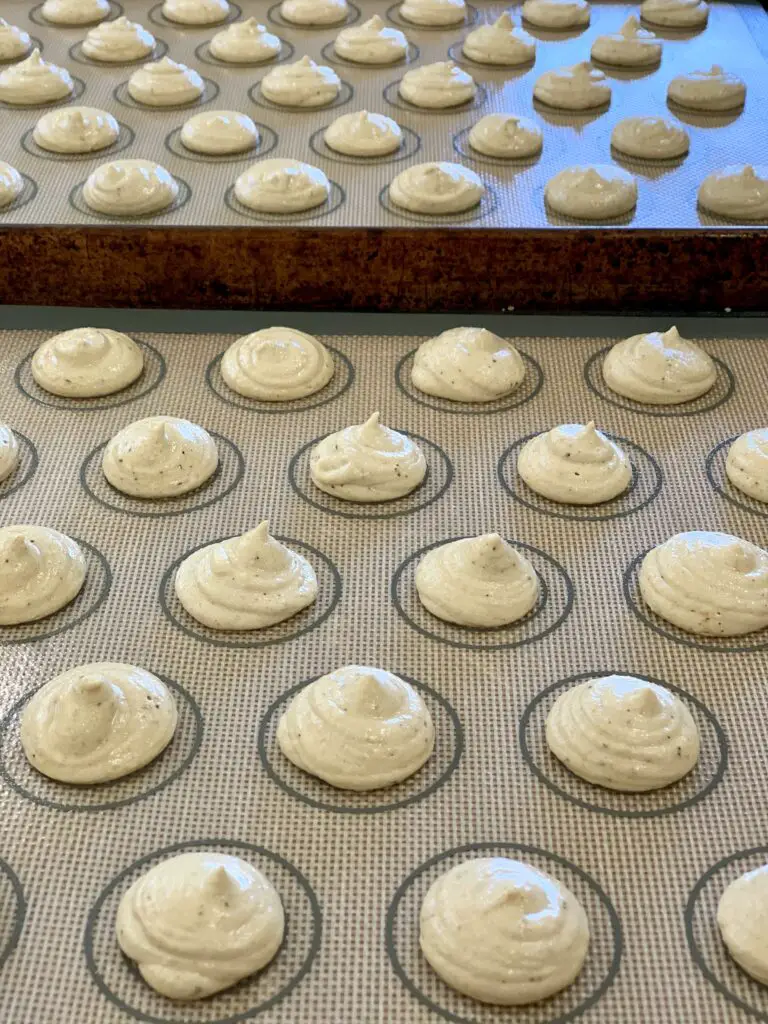 Mocha Macarons Piped And Ready To Bake