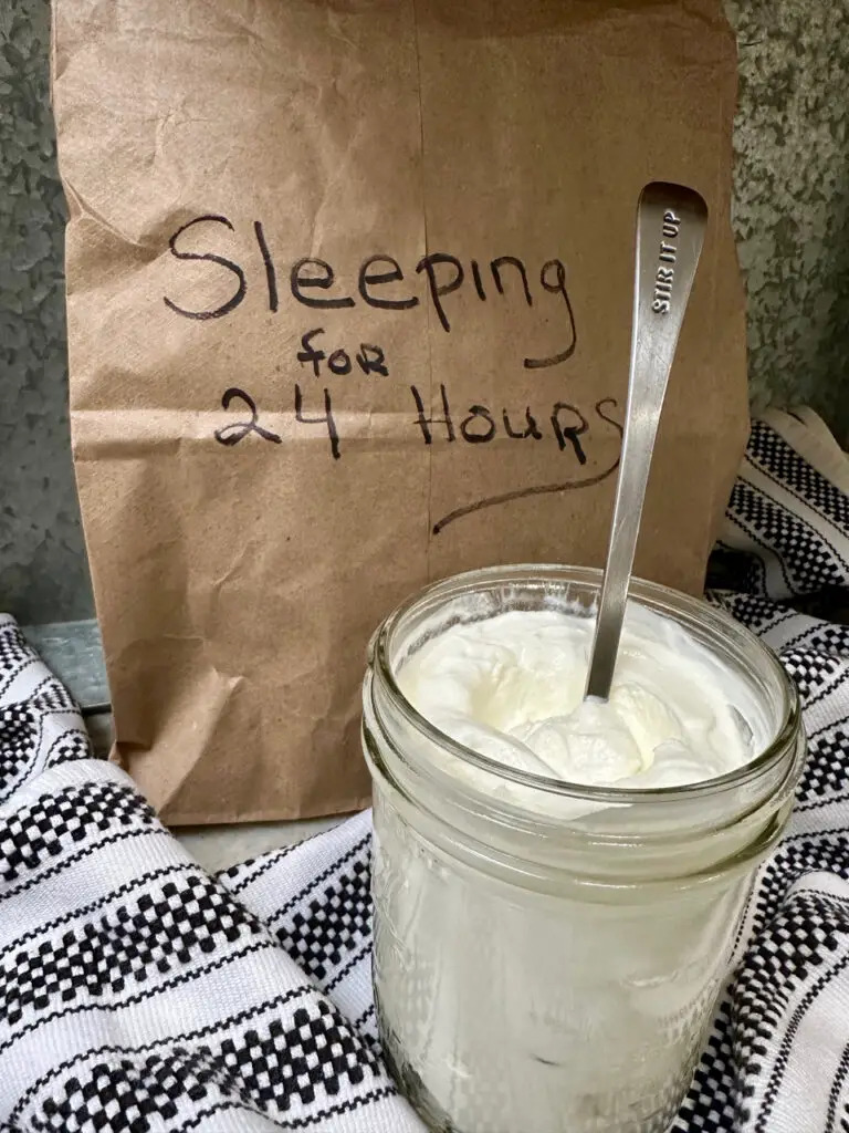 After Warm Fermenting Milk Sleeps For 24-Hours It Becomes Yogurt!