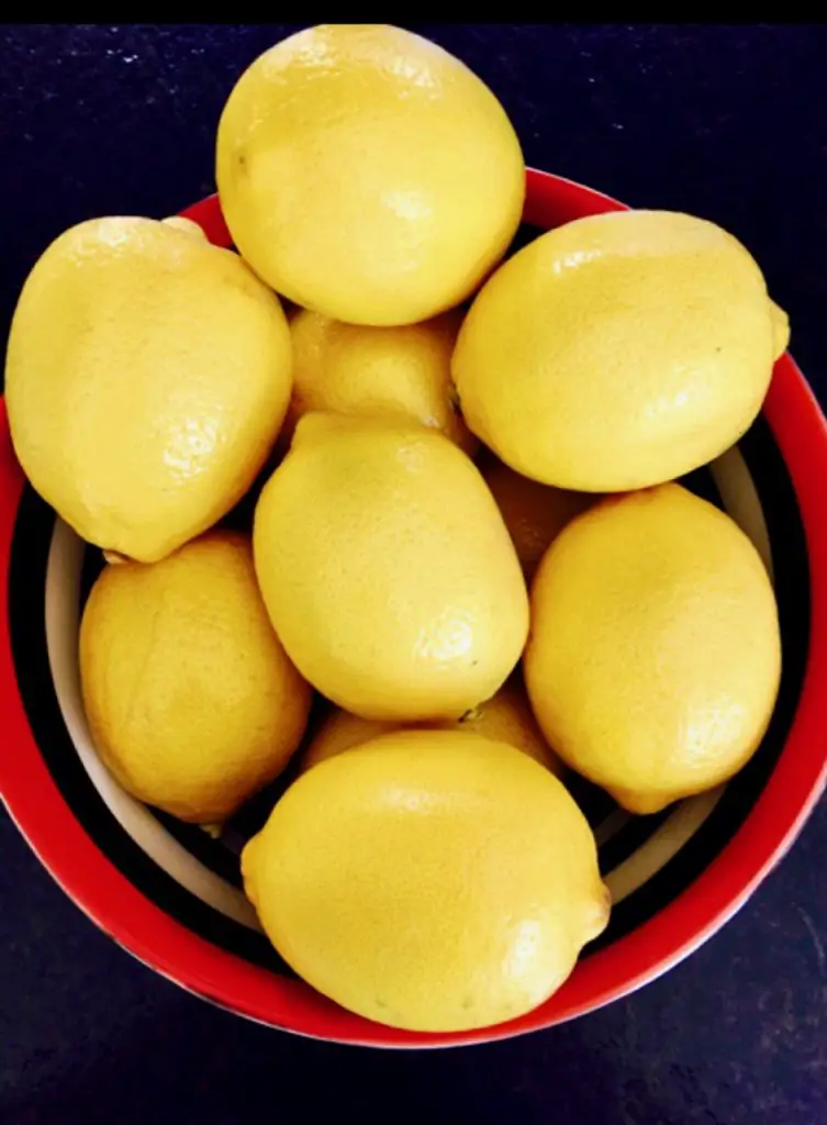 Lemons Are Always In My Kitchen