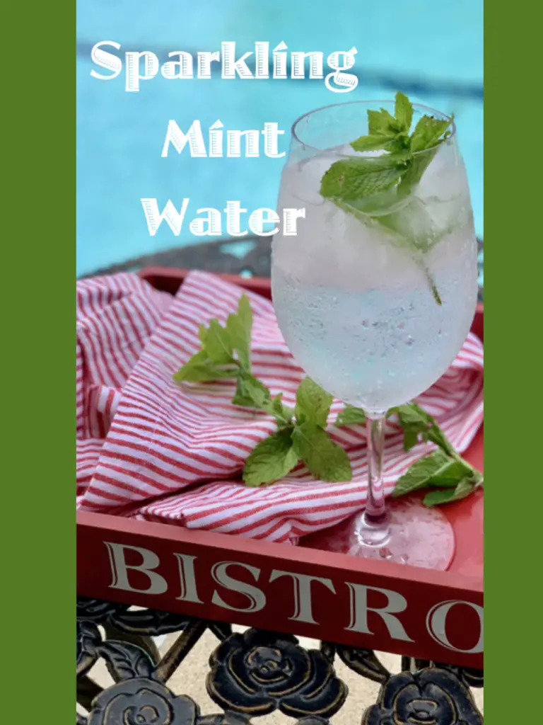 Refreshing Sparkling Mint Water