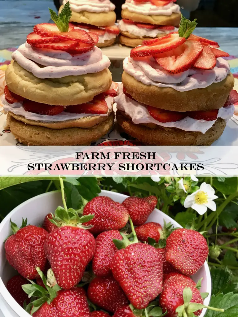 Strawberry Shortcakes Inspired By Farm Fresh Strawberries