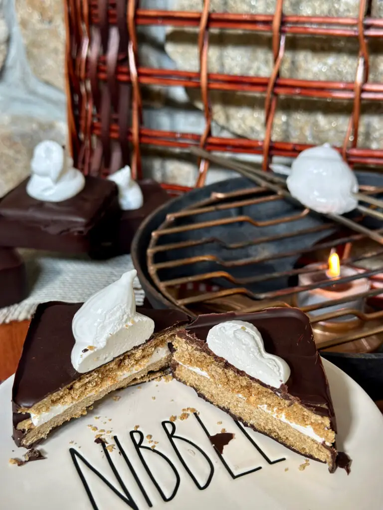 Chocolate Encased Homemade S'Mores - Homemade Marshmallow and Biscuit