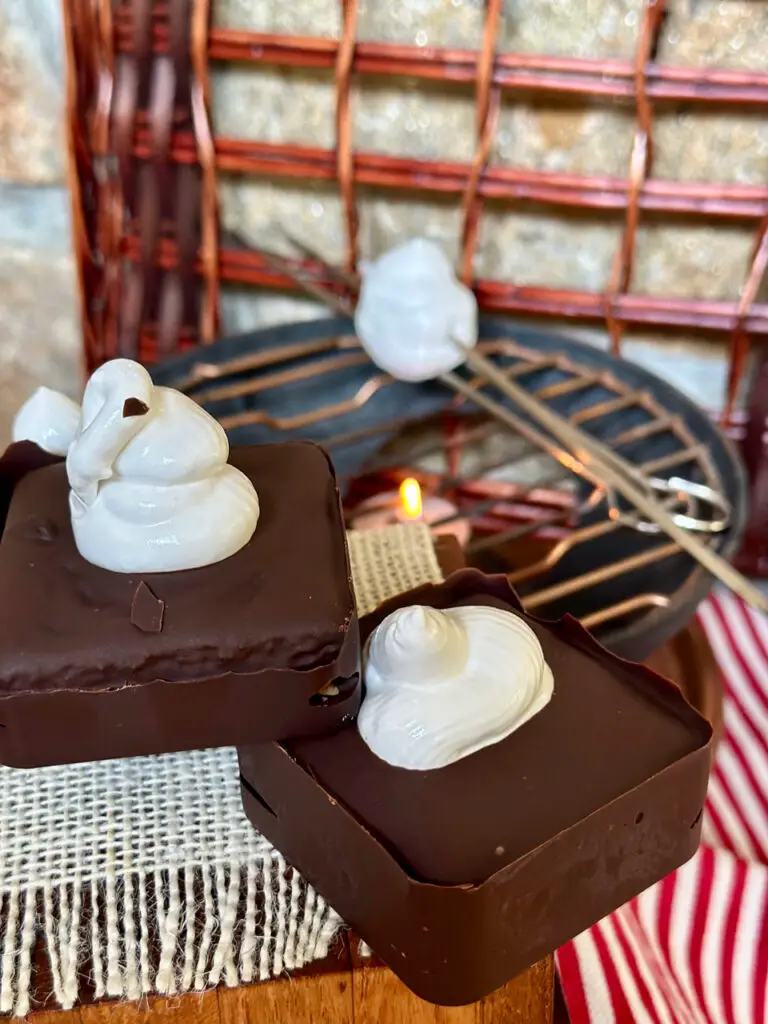 Best Darn S'Mores With Homemade Marshmallow and Homemade Biscuit Cookies