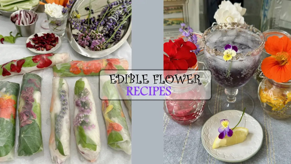 Edible Flowers With Delicious Recipes