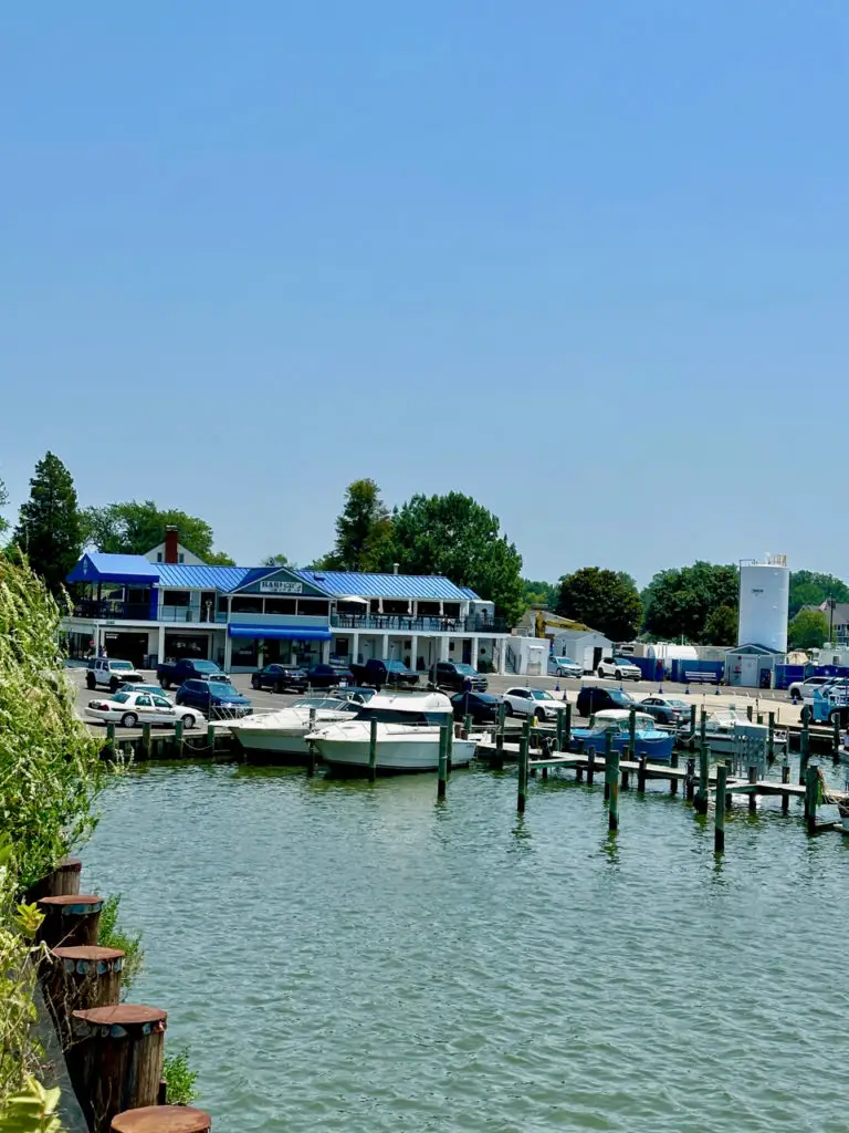 Enjoy the summer breeze while dining outside at Harper's Waterfront in the historic area of Turkey Point, a small island 12 miles south of Annapolis. 