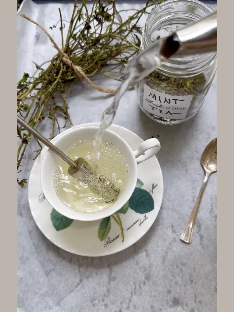 Homemade Mint Tea Brings Relief For Many Different Tummy Troubles