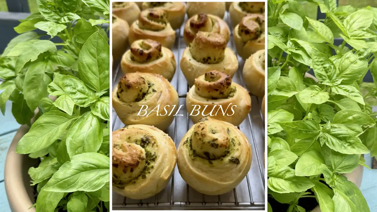 Best Homemade Basil Pesto Bread Recipe