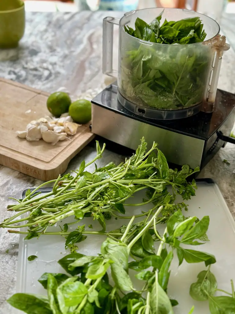 Homemade Garden Fresh Basil Pesto