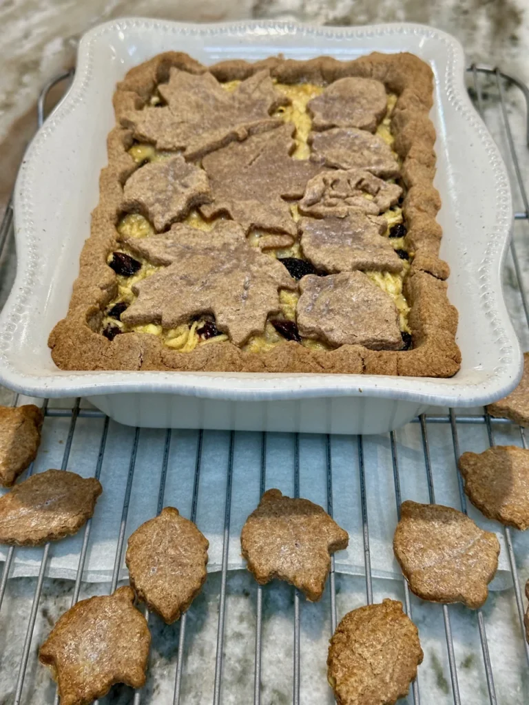 Spelt Flour and Oats Pie Crust